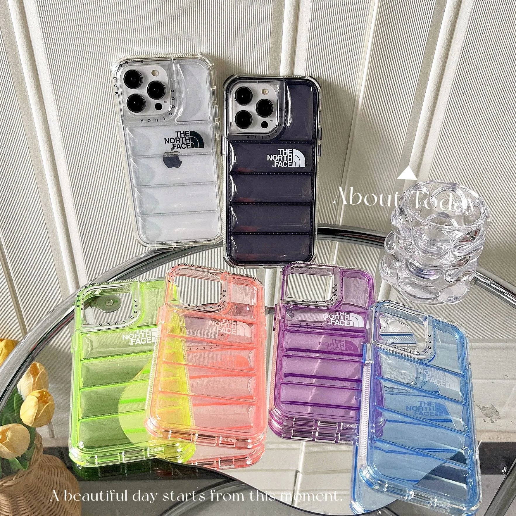TNF Transparent 3D Airbag  iPhone Case