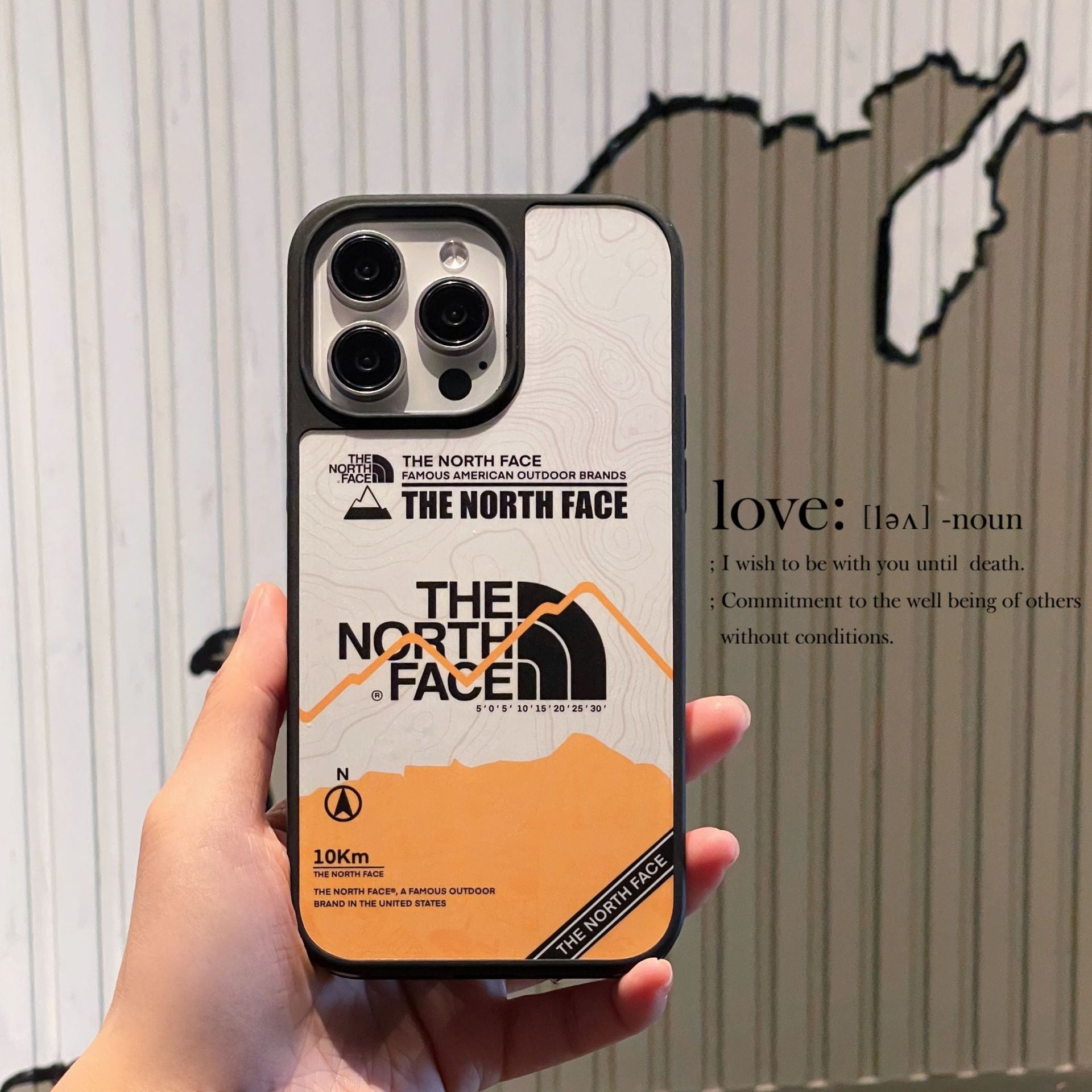 The North Face Vector Art iPhone Case