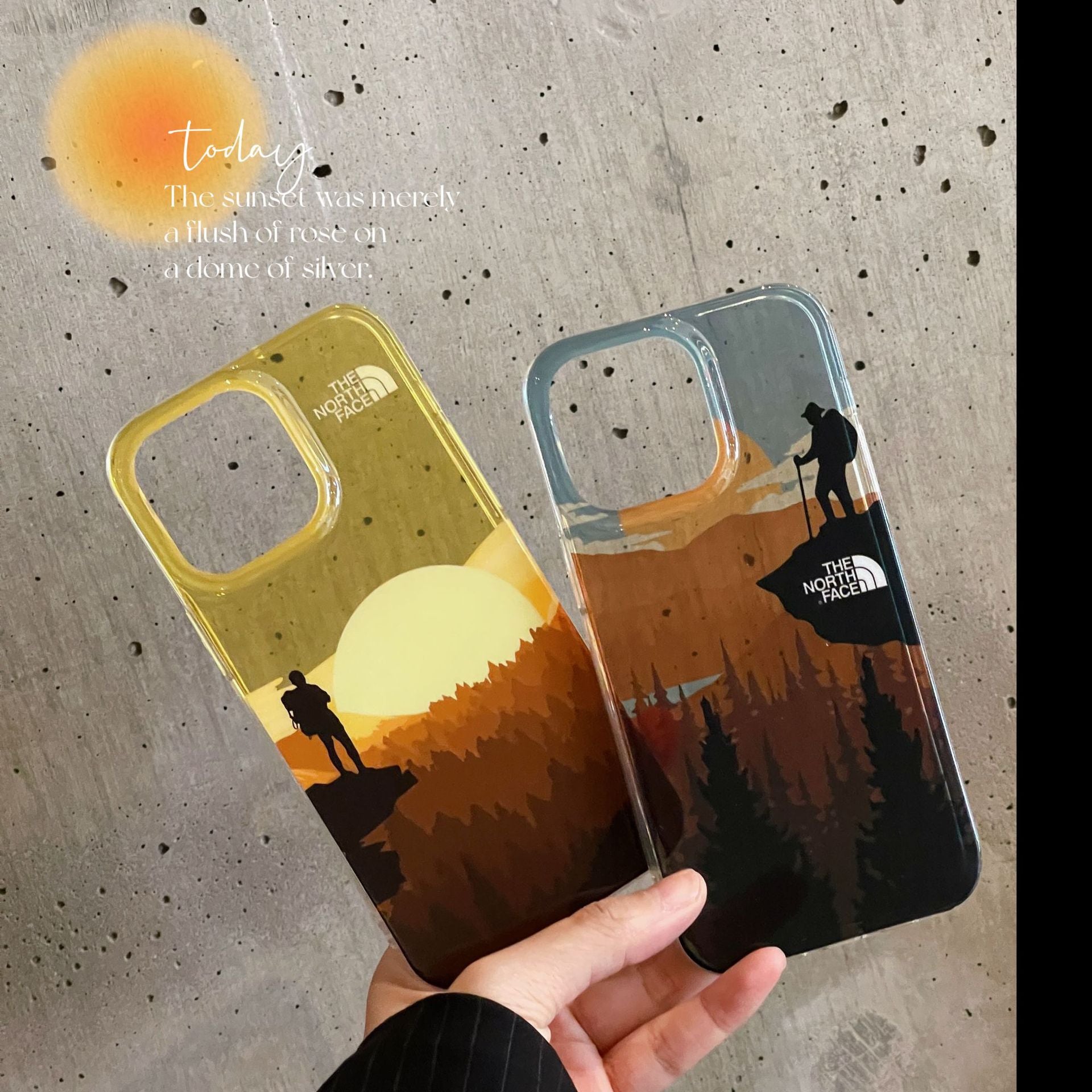 The North Face iPhone case