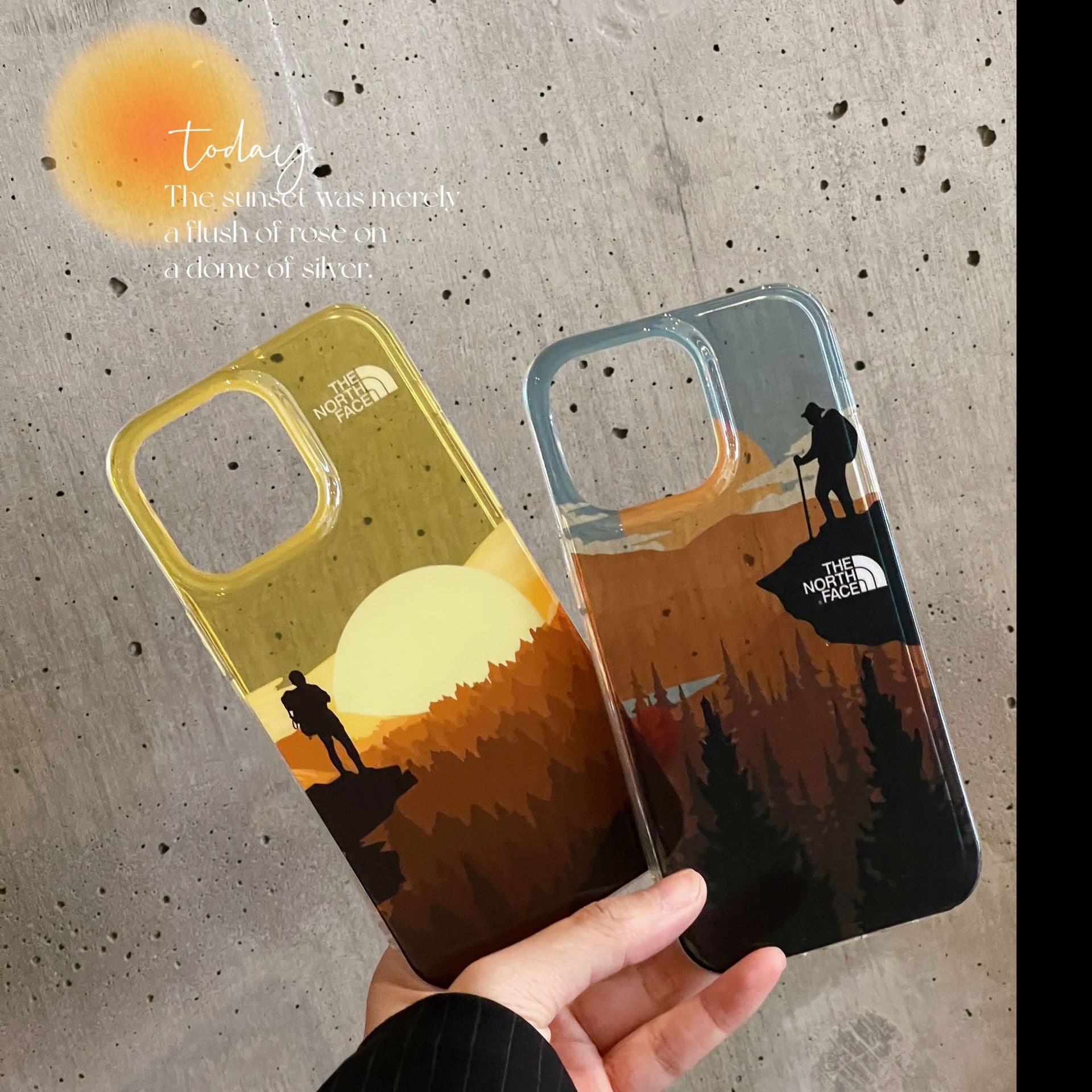 The North Face Natural Landscape iPhone case