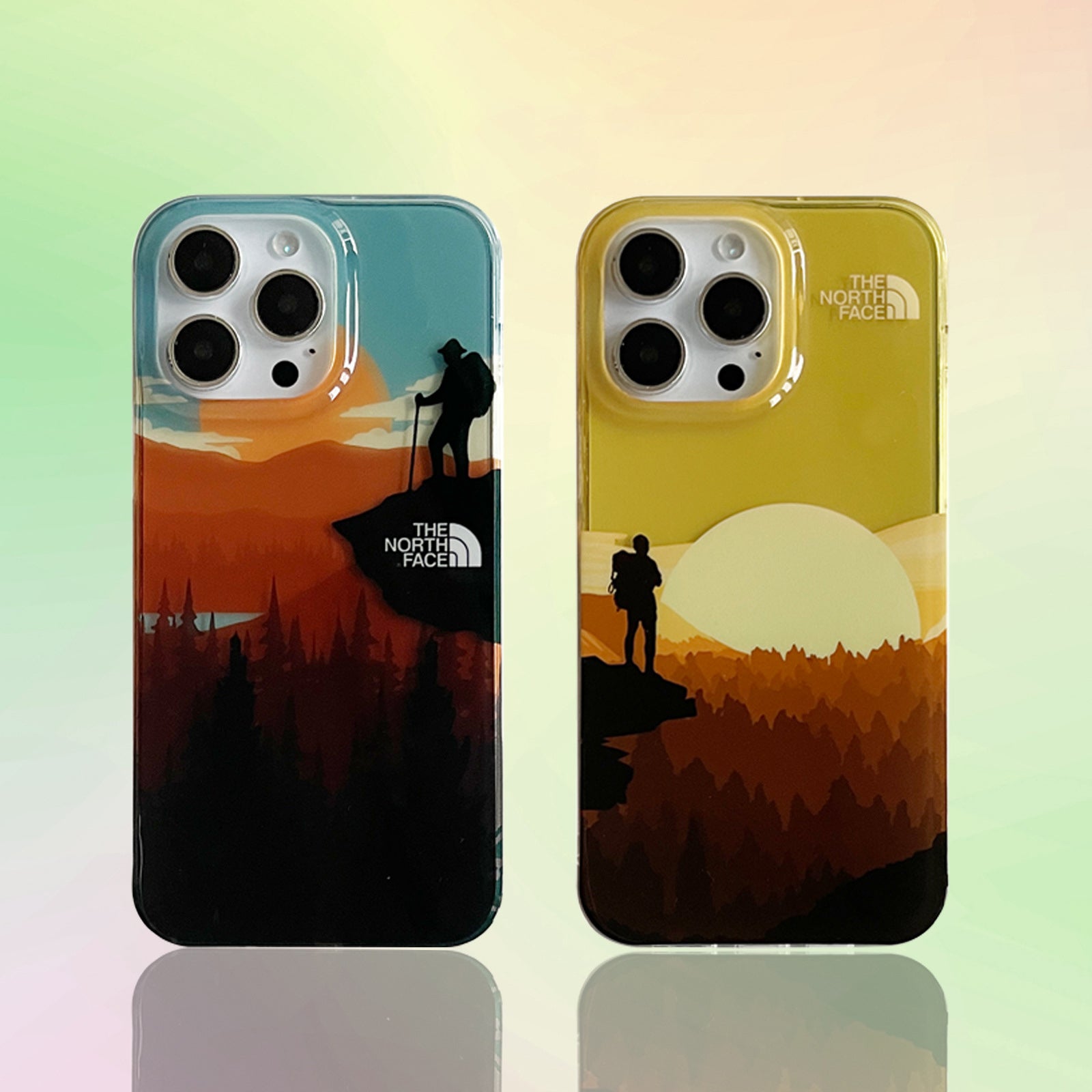 The North Face Natural Landscape iPhone case